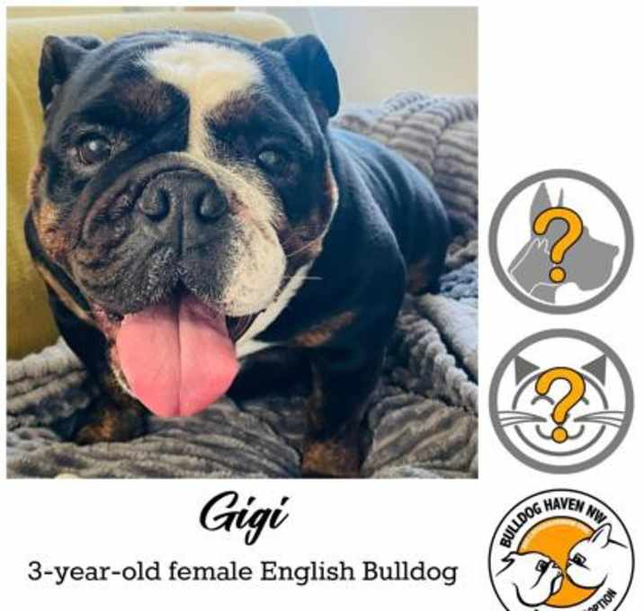 Photo of Gigi