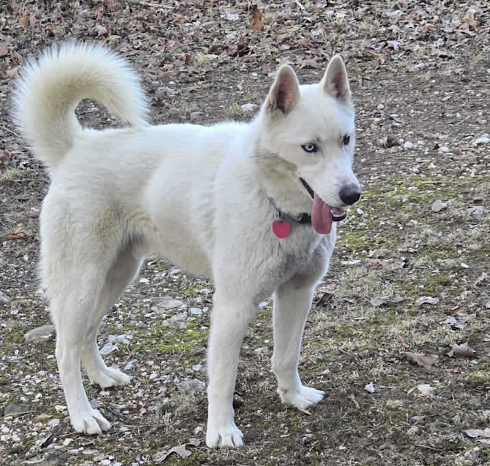 Photo of Casper