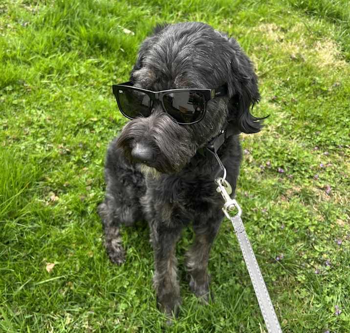 Photo of Senna