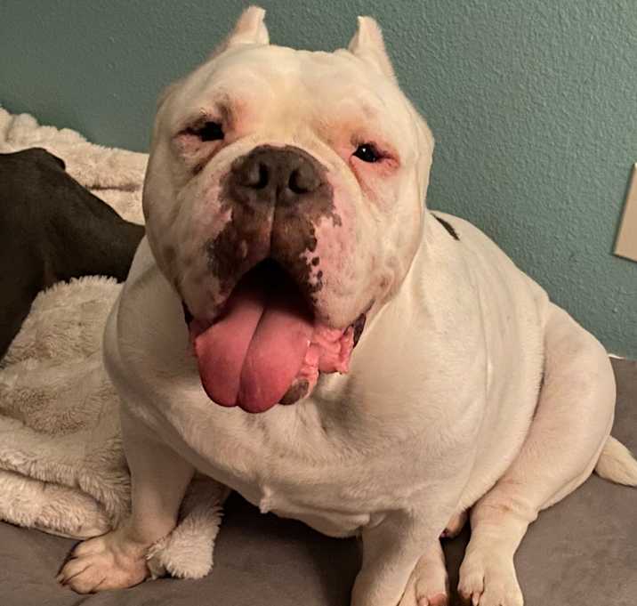 Photo of Major