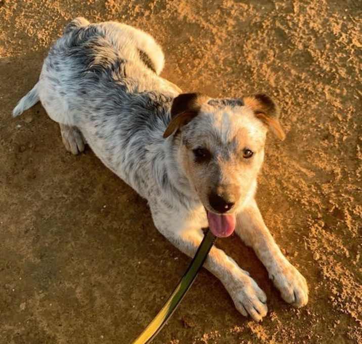 Photo of Osita