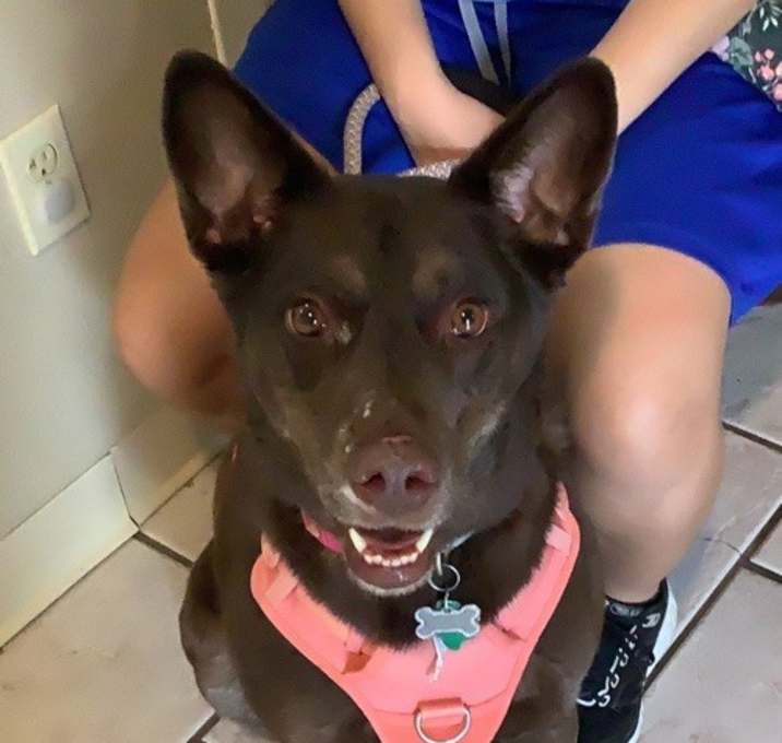 Photo of Riley Belle
