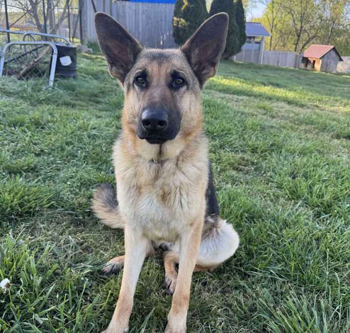 Photo of Athena