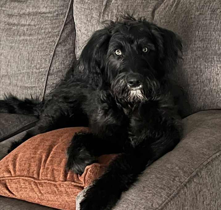 Photo of Jack