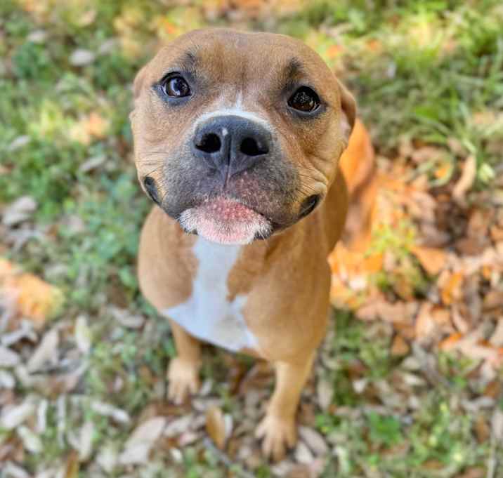 Photo of Angel