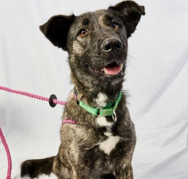 Photo of TUNDRA