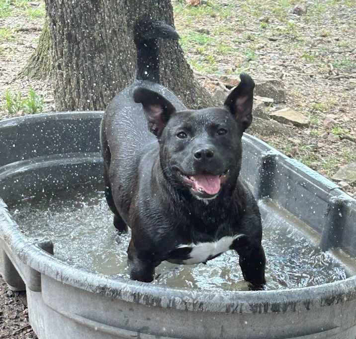 Photo of Aggie