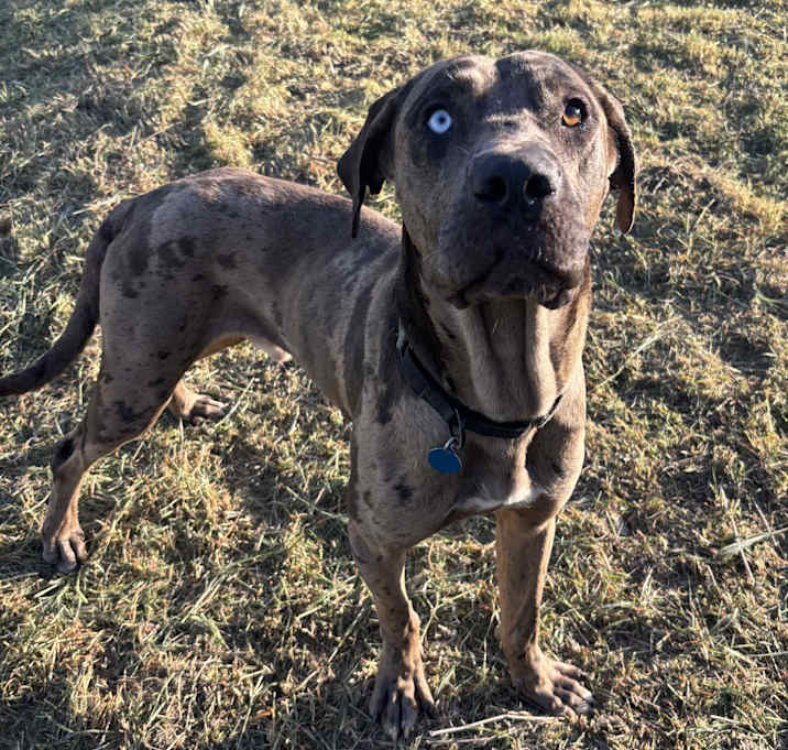 Photo of Dante