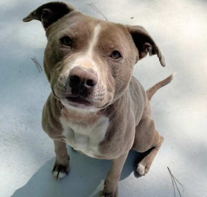 Photo of Lucy 25-D0163