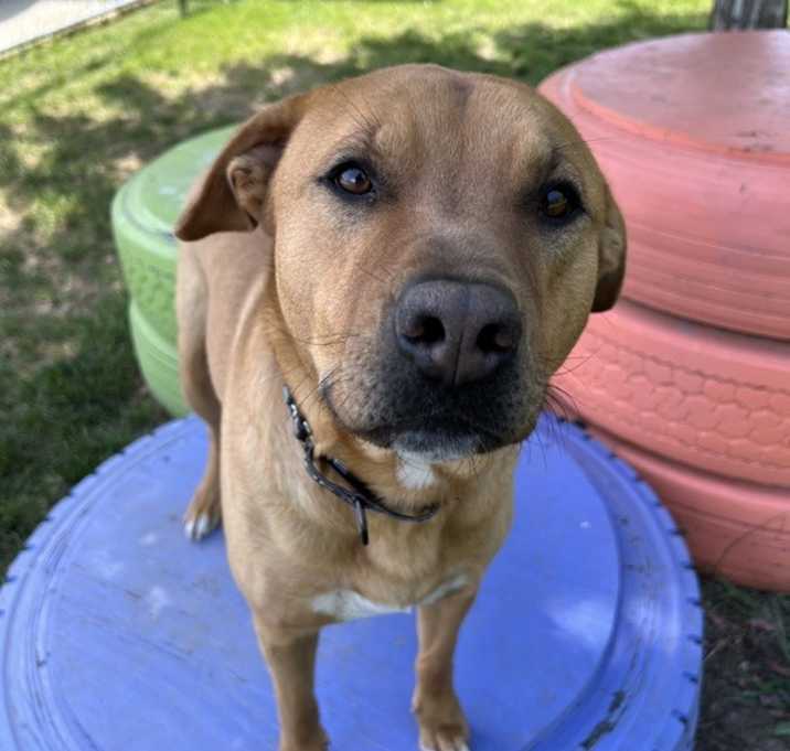 Photo of Cheech
