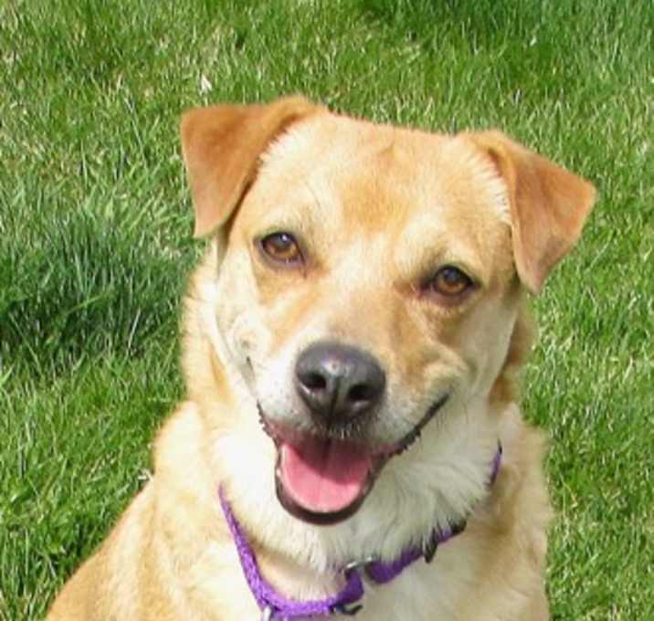 Photo of Luna