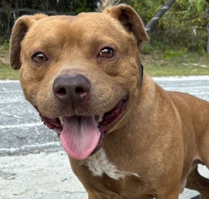 Photo of Debo