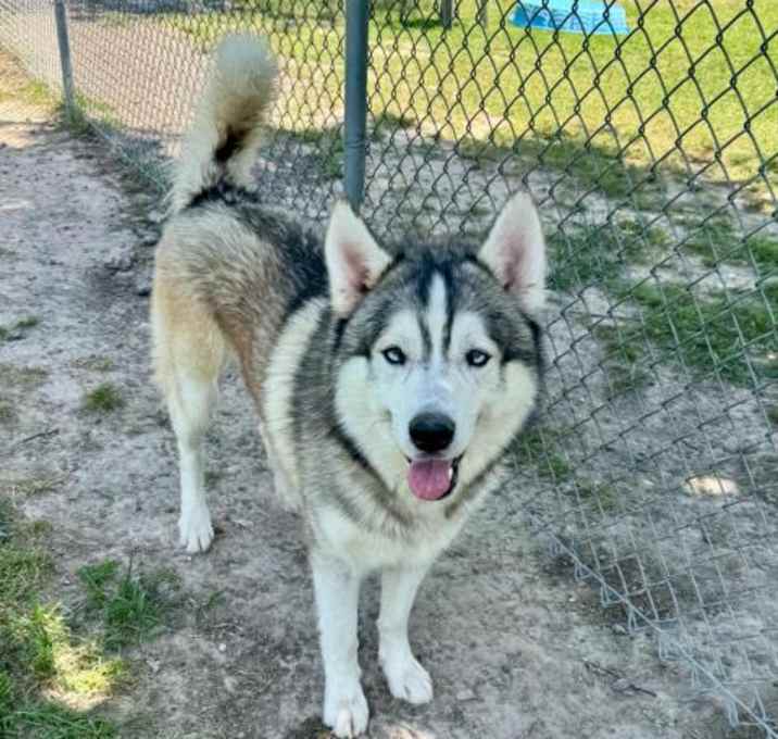Photo of REN
