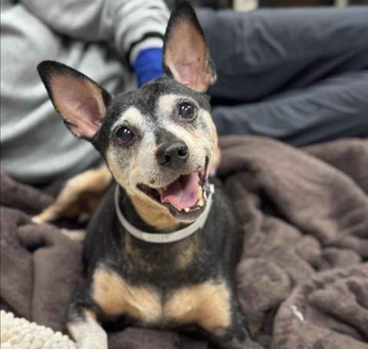 Photo of BELLE