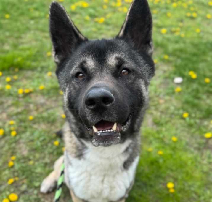 Photo of Brewski