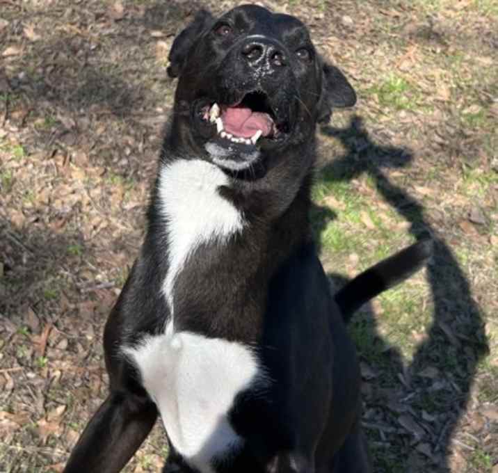 Photo of Kylo