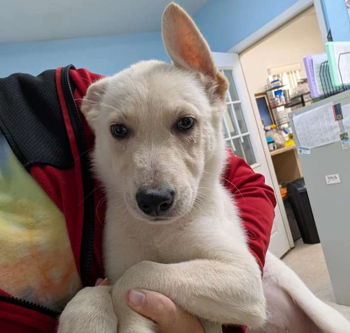 Photo of SPIKE
