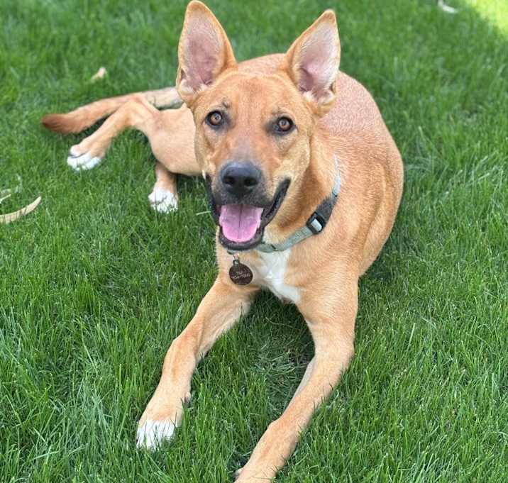 Photo of Phoebe