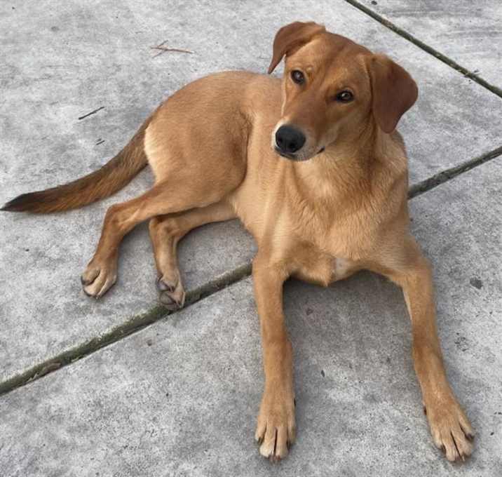 Photo of MOLLY