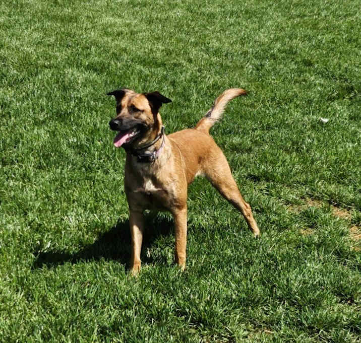 Photo of Bonnie