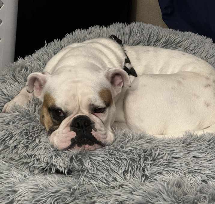 Photo of Maggie Mae