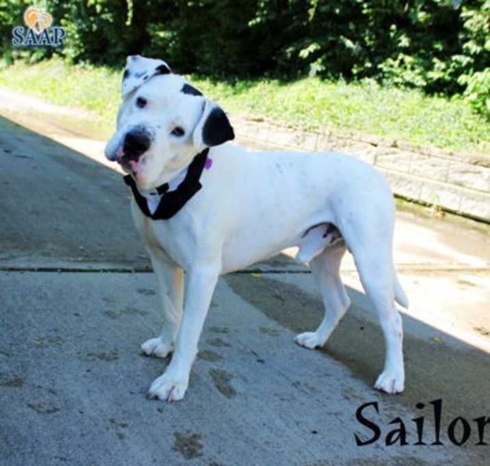 Photo of Sailor