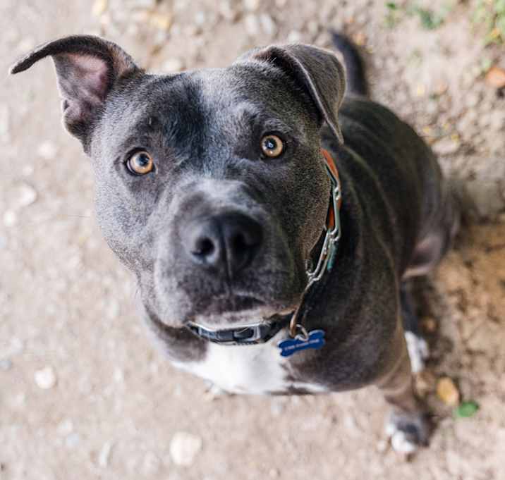 Photo of Reggie