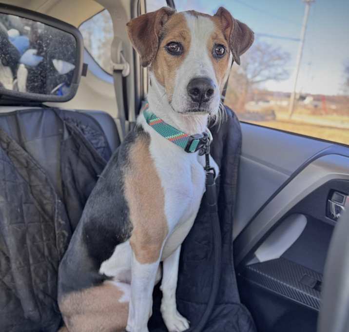 Photo of Atlas