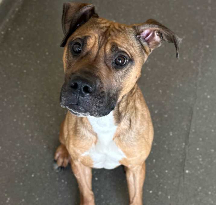 Photo of Tucker