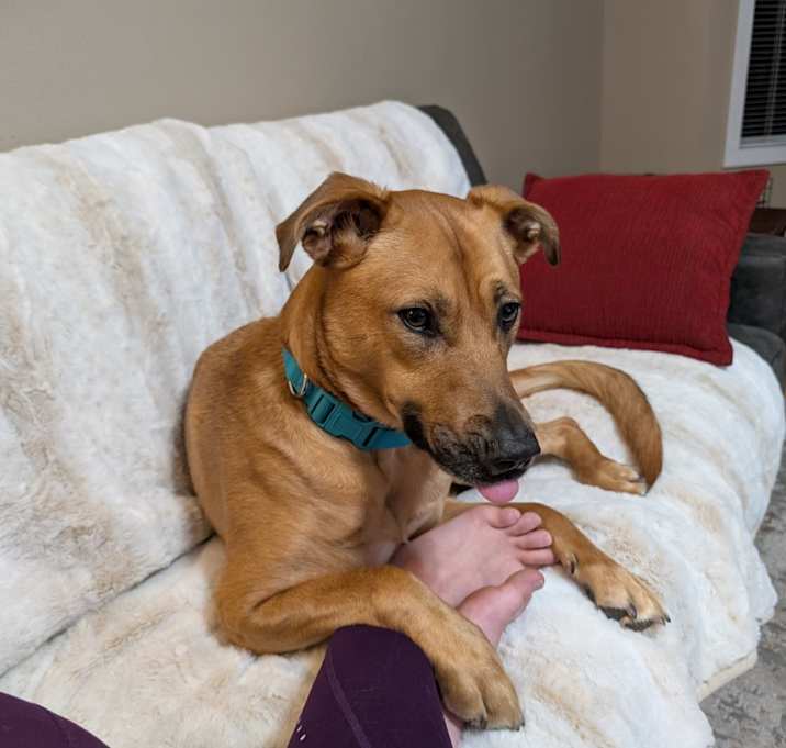 Photo of Cocoa