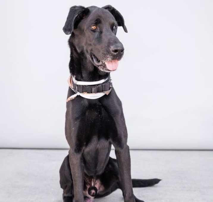 Photo of MAX
