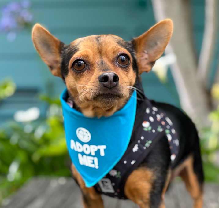 Photo of Sprout