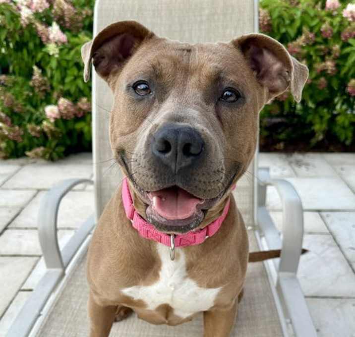 Photo of Gigi