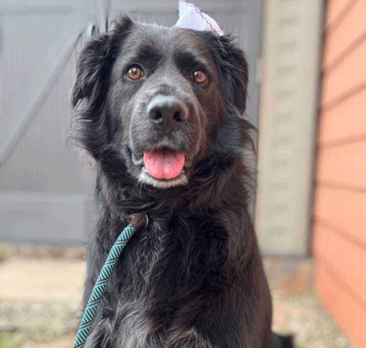 Photo of Annie