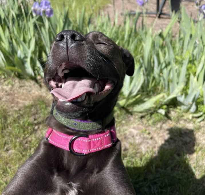 Photo of Ruby