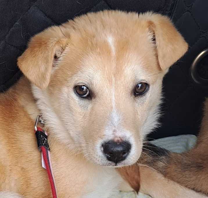 Photo of Madeleine (S. Korea) hz