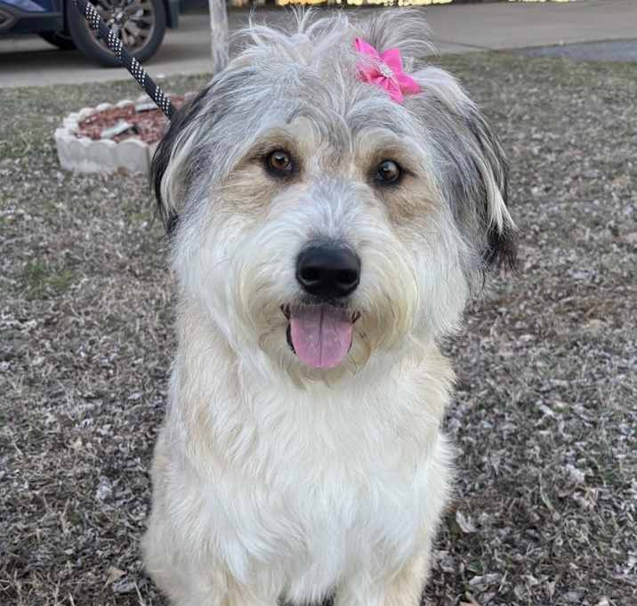 Photo of Zelda