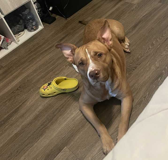 Photo of Major