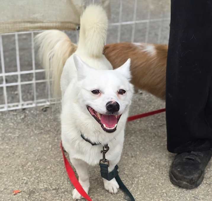 Photo of Louie