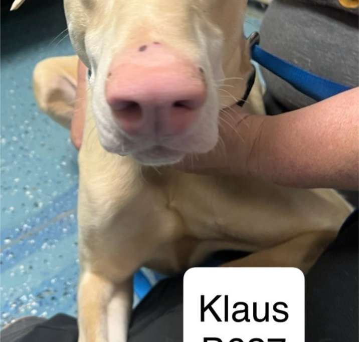 Photo of Klaus B627