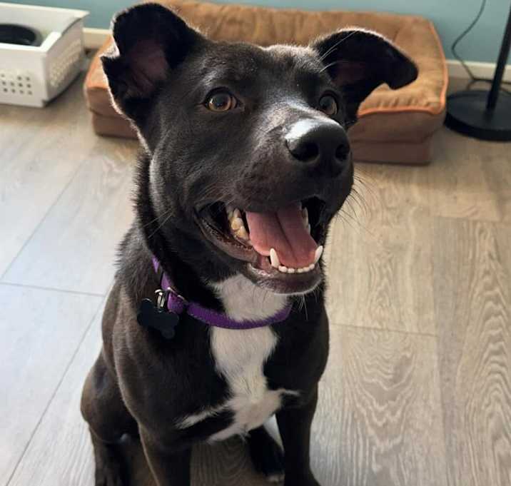 Photo of Luigi