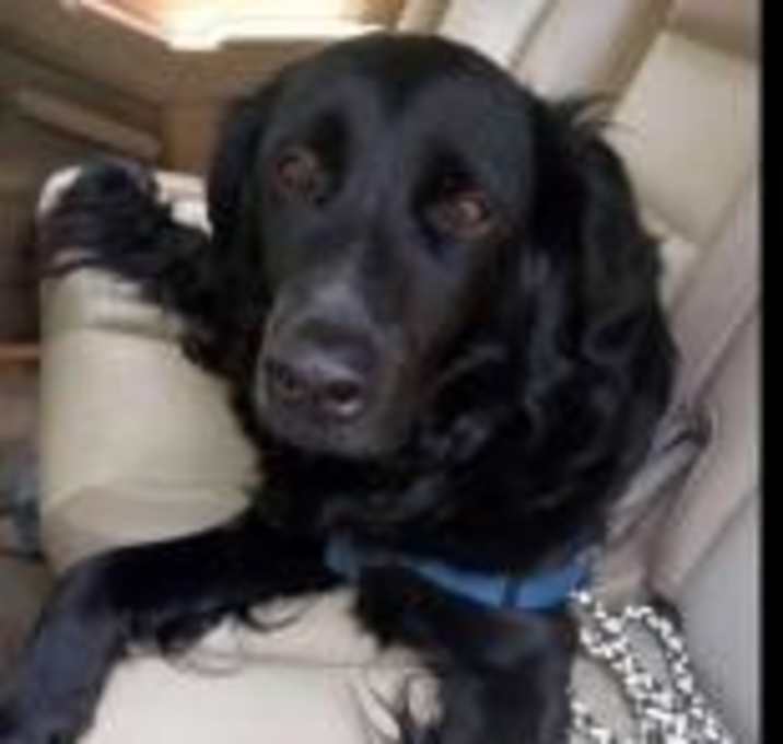 Photo of Marley Man