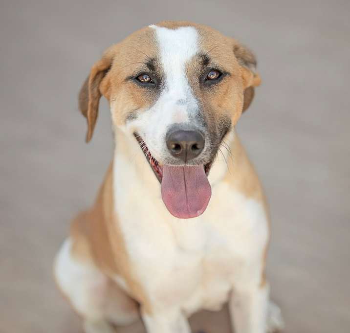 Photo of Thelma