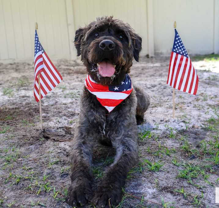 Photo of Astro