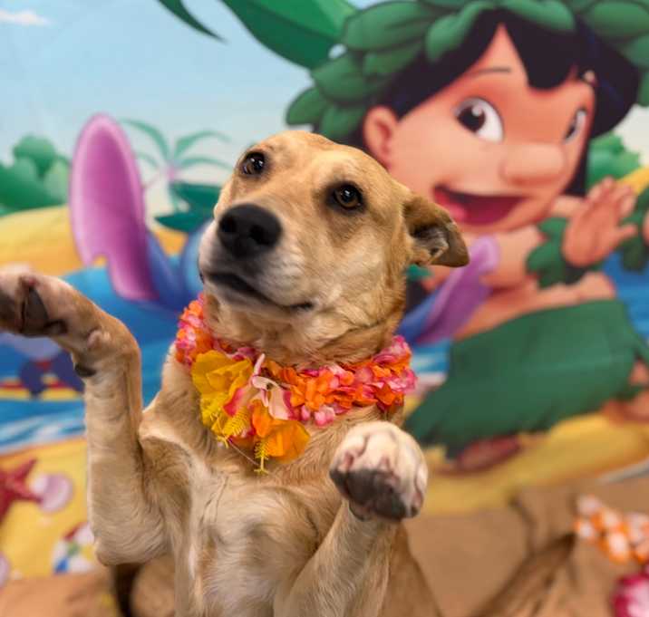 Photo of Esther
