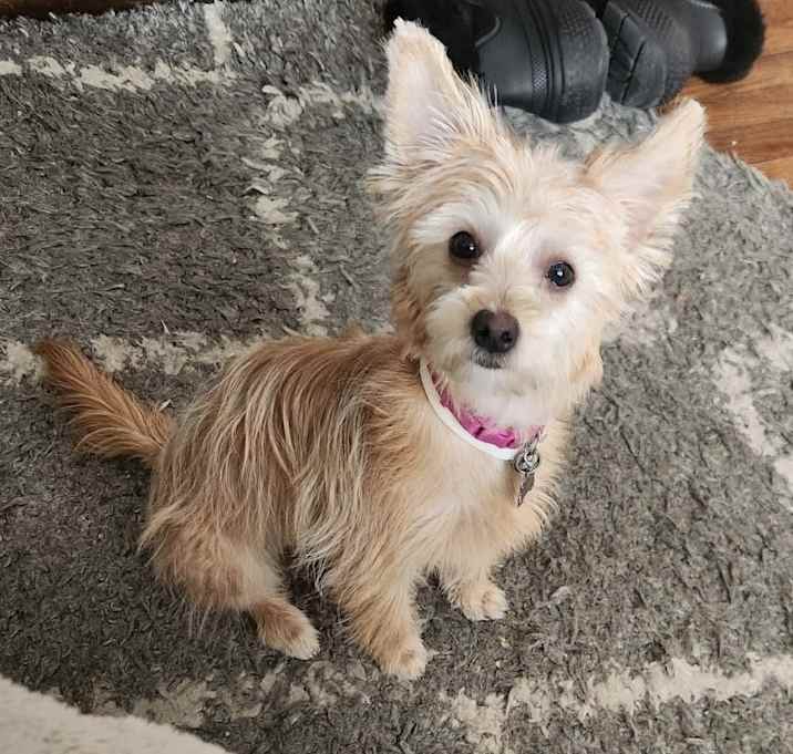 Photo of Madison