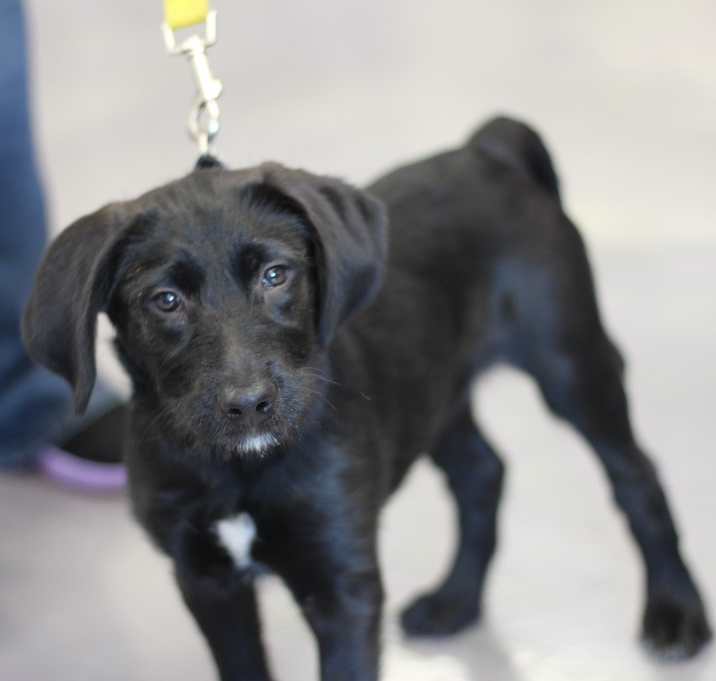 Photo of Delilah