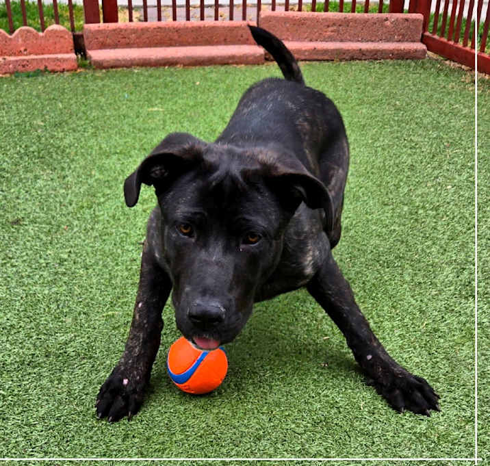 Photo of ROXY
