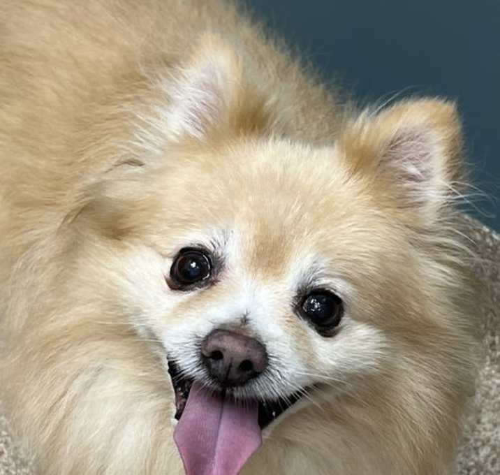 Photo of Sebastian