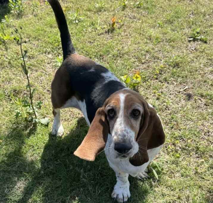 Photo of Bonnie